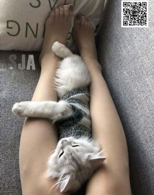 历届奥运会奖牌榜一览表