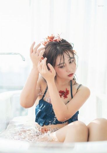 大明风华电视剧