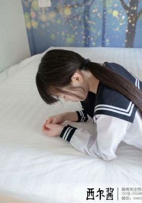 维斯塔潘
