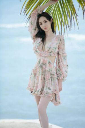 打黑电视剧免费观看
